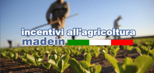 Scopri di più sull'articolo Incentivi all’agricoltura Made in Italy.