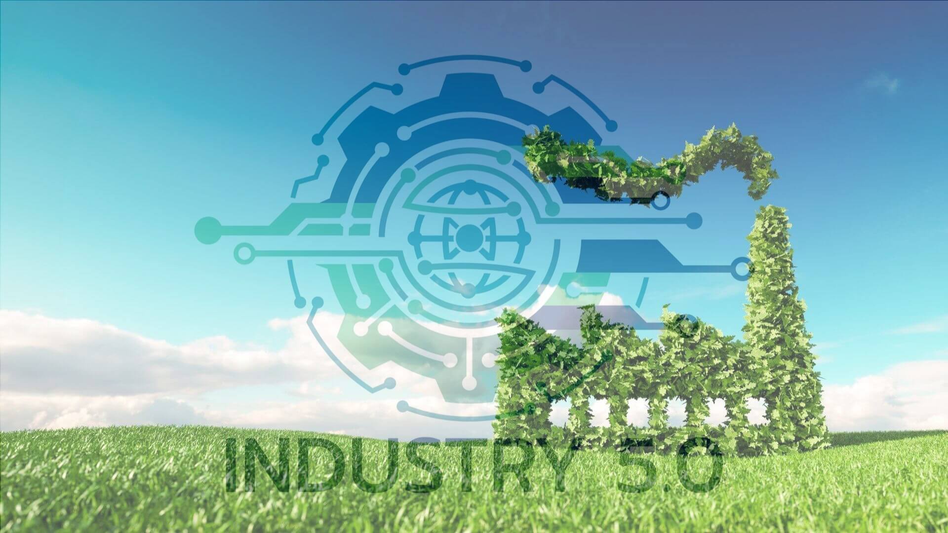 Al momento stai visualizzando Credito d’imposta Transizione 5.0: al via la nuova misura per la digitalizzazione e la transizione ecologica delle imprese.