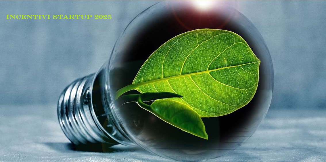 Al momento stai visualizzando Incentivi Invitalia per la nascita e la crescita delle startup.